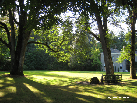 Lawn Lawn