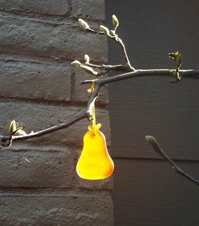 Pear resized Pear resized