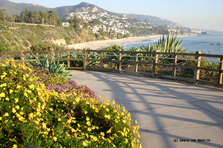 Walkway & view Walkway & view