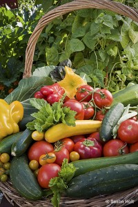 Abundant Harvest basket