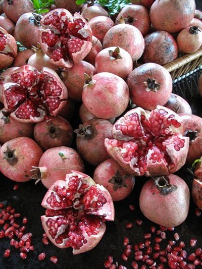 rock rose pomegranate rock rose pomegranate