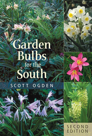Garden Bulbs for the South Garden Bulbs for the South