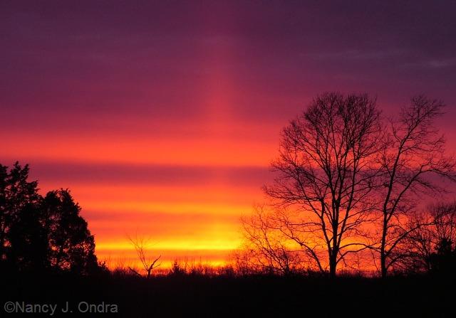 Sunrise March 18 08 Sunrise March 18 08