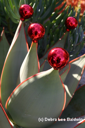 Aloe Xmas balls copy Aloe Xmas balls copy