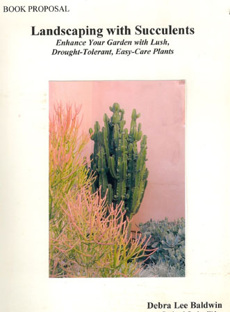 Book proposal resized