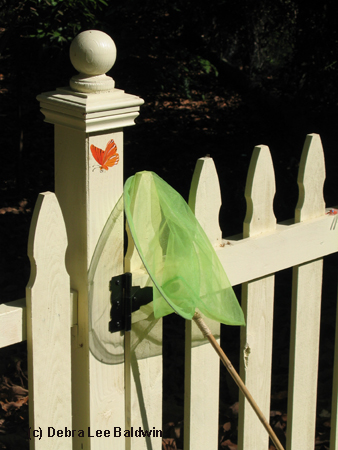 Butterfly gate resized