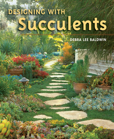 DwS cover resized