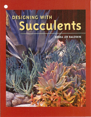 DwS first cover resized