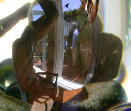 Fish bowl2