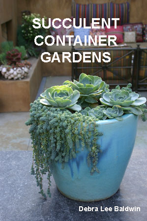 Koepke Blue pot on table resized