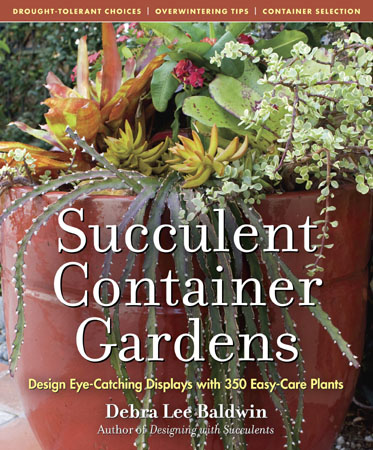 SCG cover_corrected resized