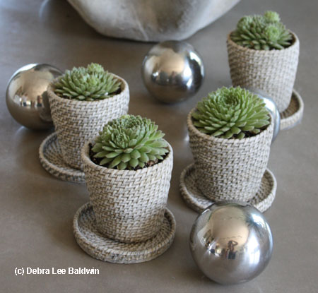 Silver balls2
