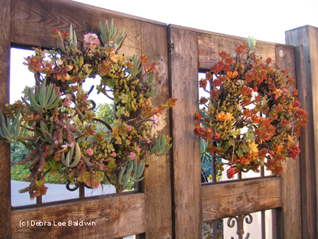 Wreaths resized
