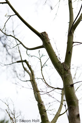 holt_903_2102_400px