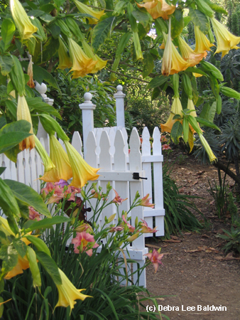 s gdn resized