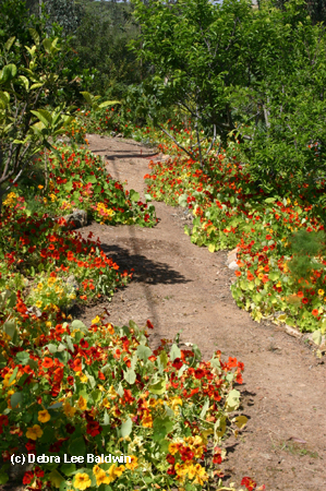 Alongside path
