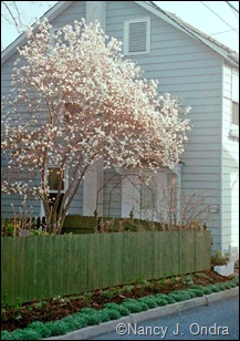 Emmaus garden Spring 97