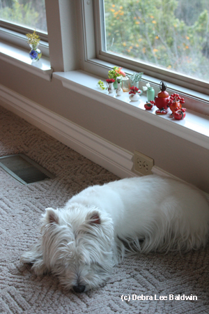 Lily sleeping