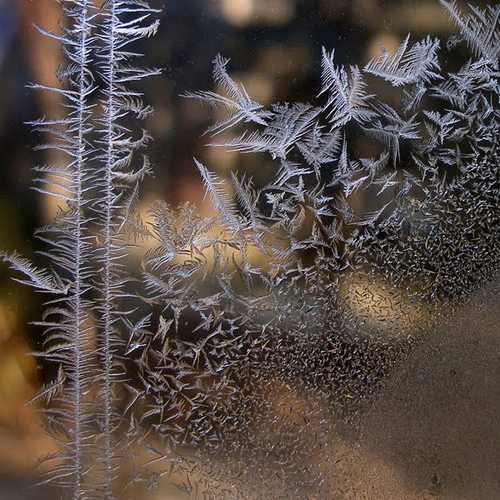 #22champagne_ice_600px