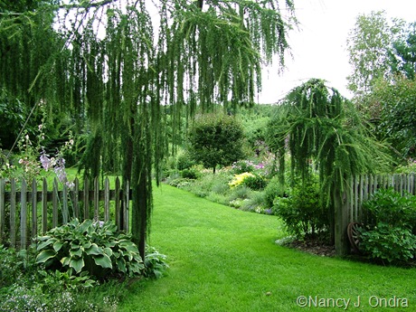 Garden Bloggers Design Workshop - Entrance Gardens - Gardening ...