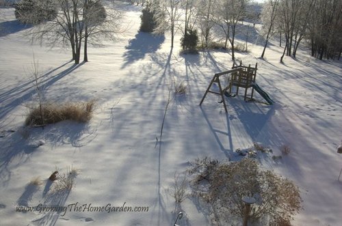 s_Morning_Shadows_1-2010-1_Small