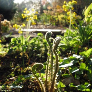 7-april-12-2009-027-3