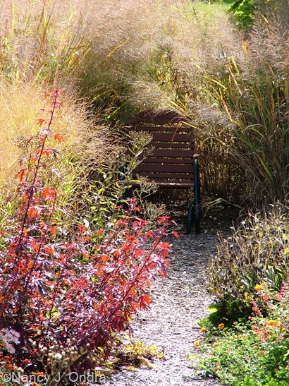 Diagonal path Oct 22 07