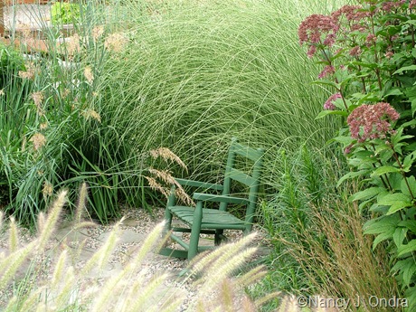 Mini rocking chair in courtyard late August 05