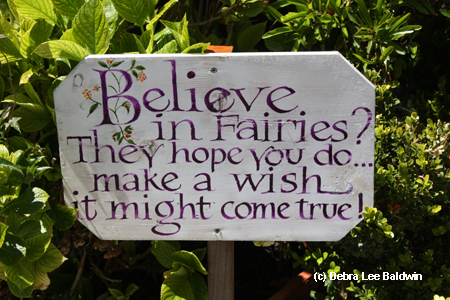 Believe in fairies sign