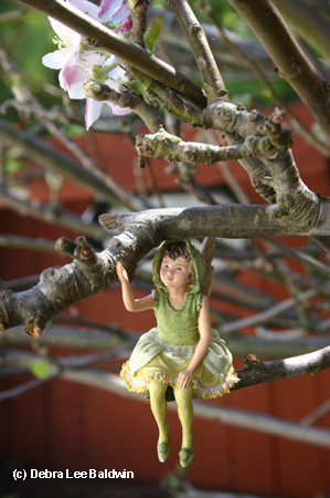 FAiry in apple tree