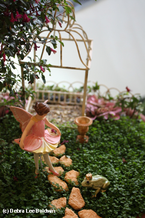 Fairy & Frog prince