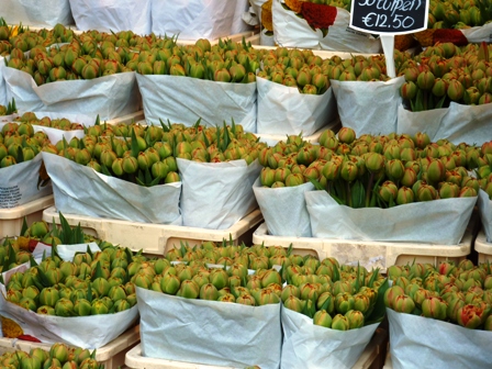 Holland Flower Market-bunches of tulips-resized