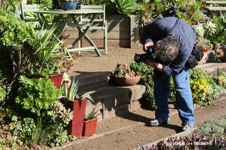 Howard shooting red pots