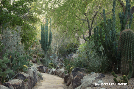 Phoenician desert garden