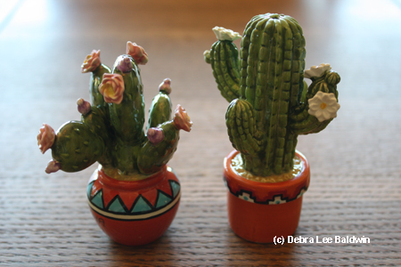 Saguaro s&p shakers