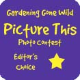 GGW Editor's Choice Award