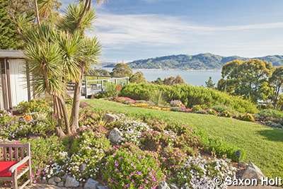 very sunny California garden garden with view of San Francisco