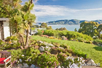 watercolor photograph Marin garden Art photo, Tiburon garden overlooking San Francisco