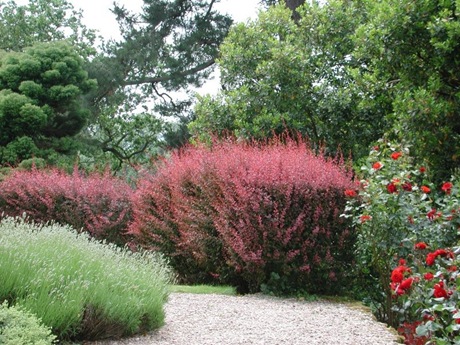 French Gardening French Gardening