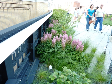 High Line Garden-planting near stairway and people walking on cement path-resized