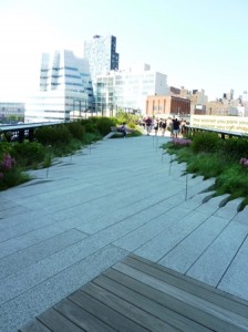 Urban Native Prairie Garden-The High Line