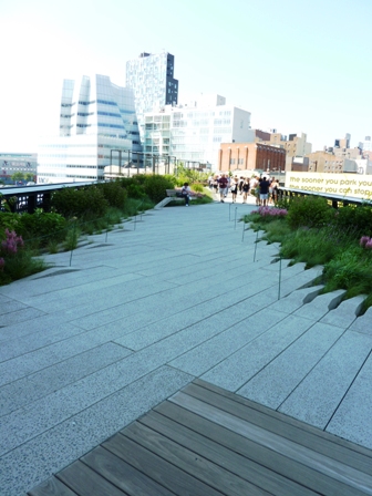 Urban Native Prairie Garden-The High Line