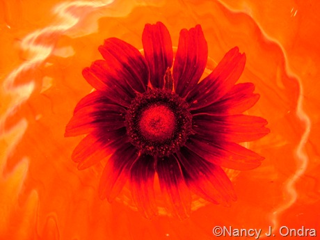 092