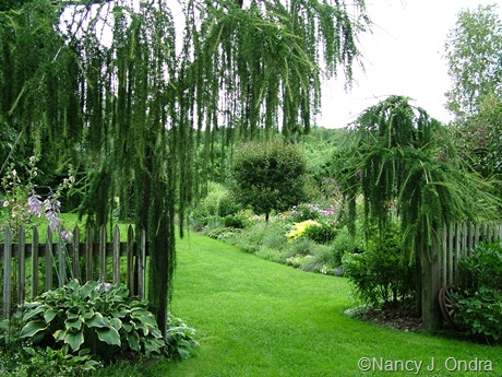 Cady's Falls Nursery in Morrisville, Vermont