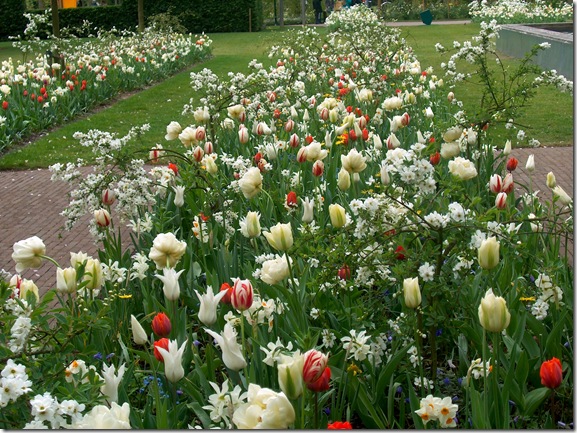 Bloemenlinten_18[1].jpg-Jacqueline vanderKloet
