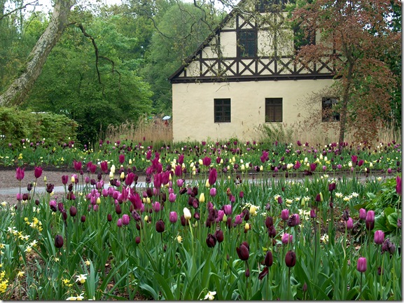 Ippenberg Castle