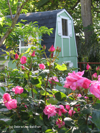 Martin Playhouse & roses