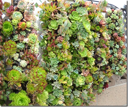 Vertical Planters Vertical Planters
