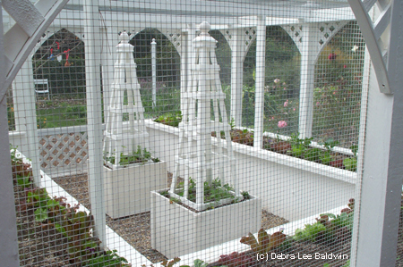 s potager2