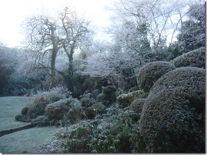 5 December. Berijpte snoeivormen. Links verdiepte paden in het gras.